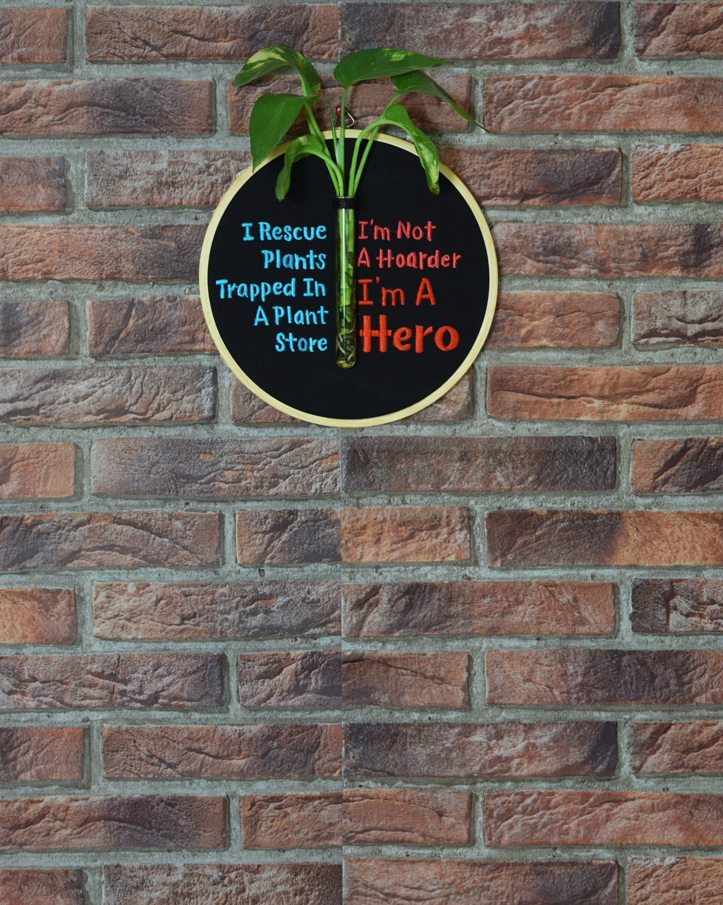 I rescue plants....(Planter 01)