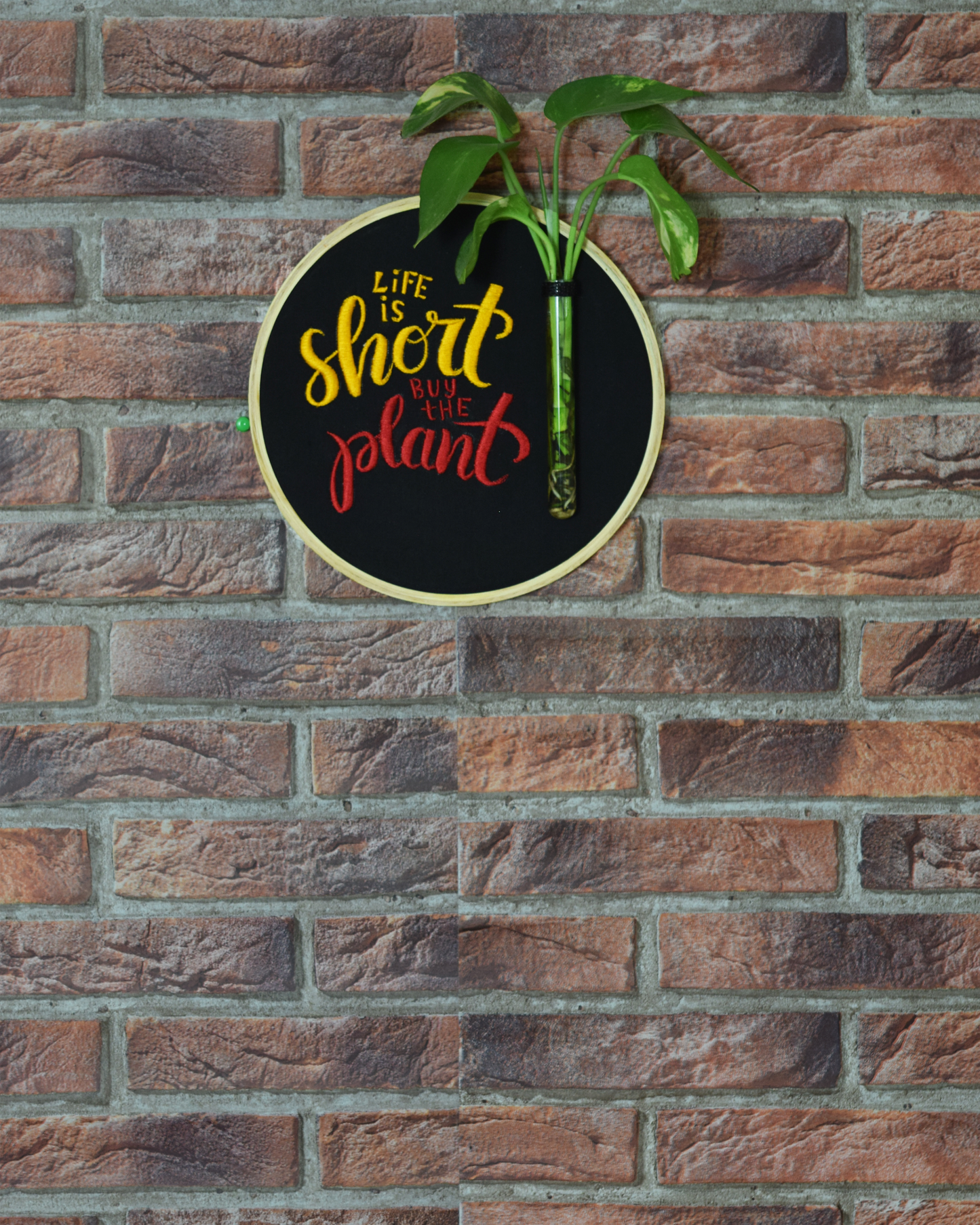 Life is Short... Buy the Plant