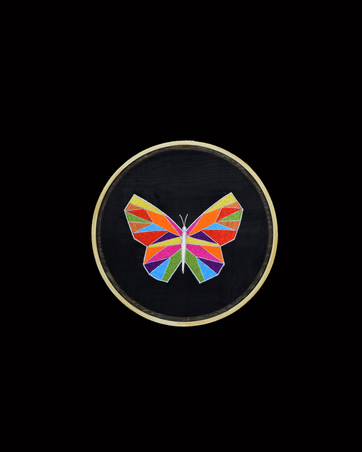 Multicolor Butterfly