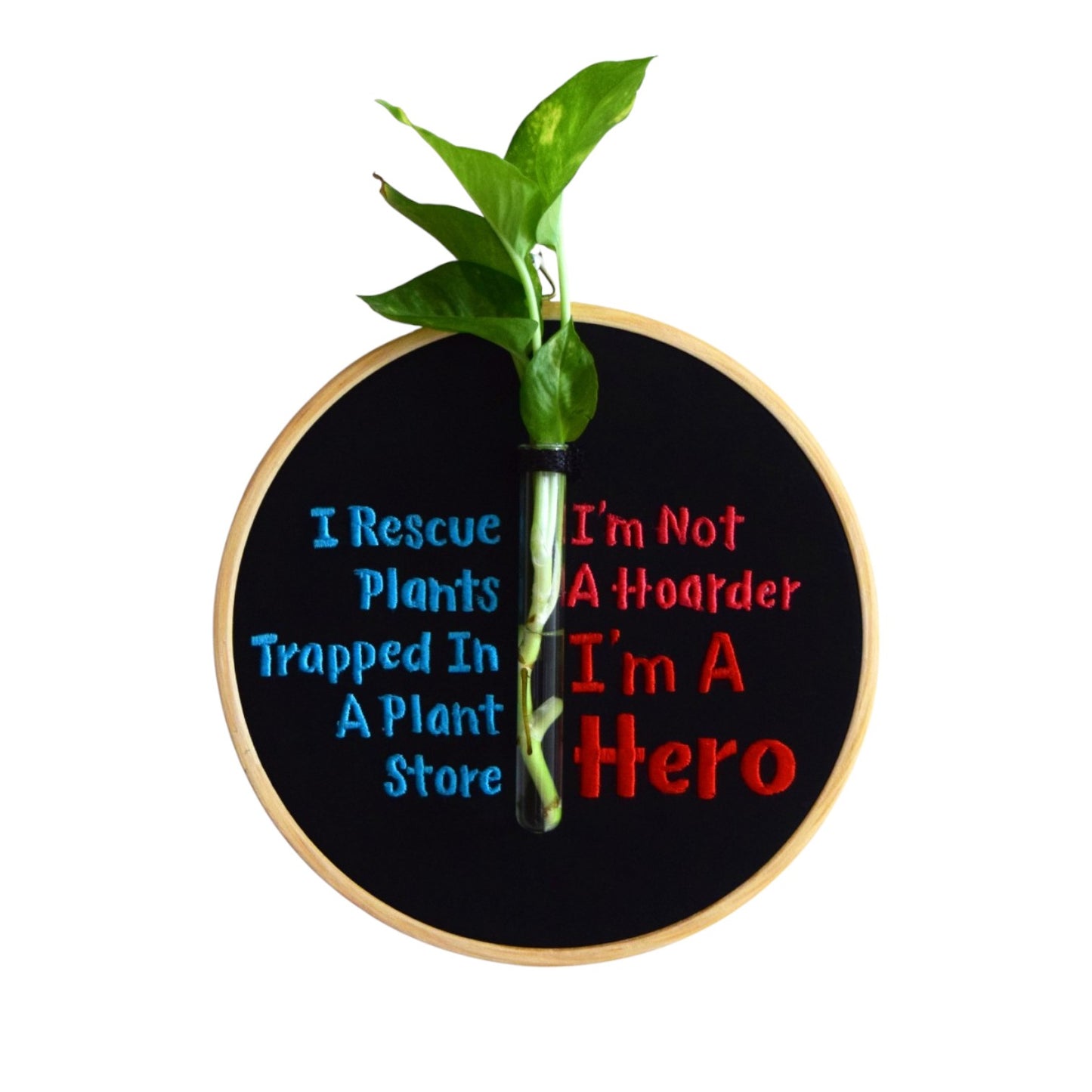 I rescue plants....(Planter 01)