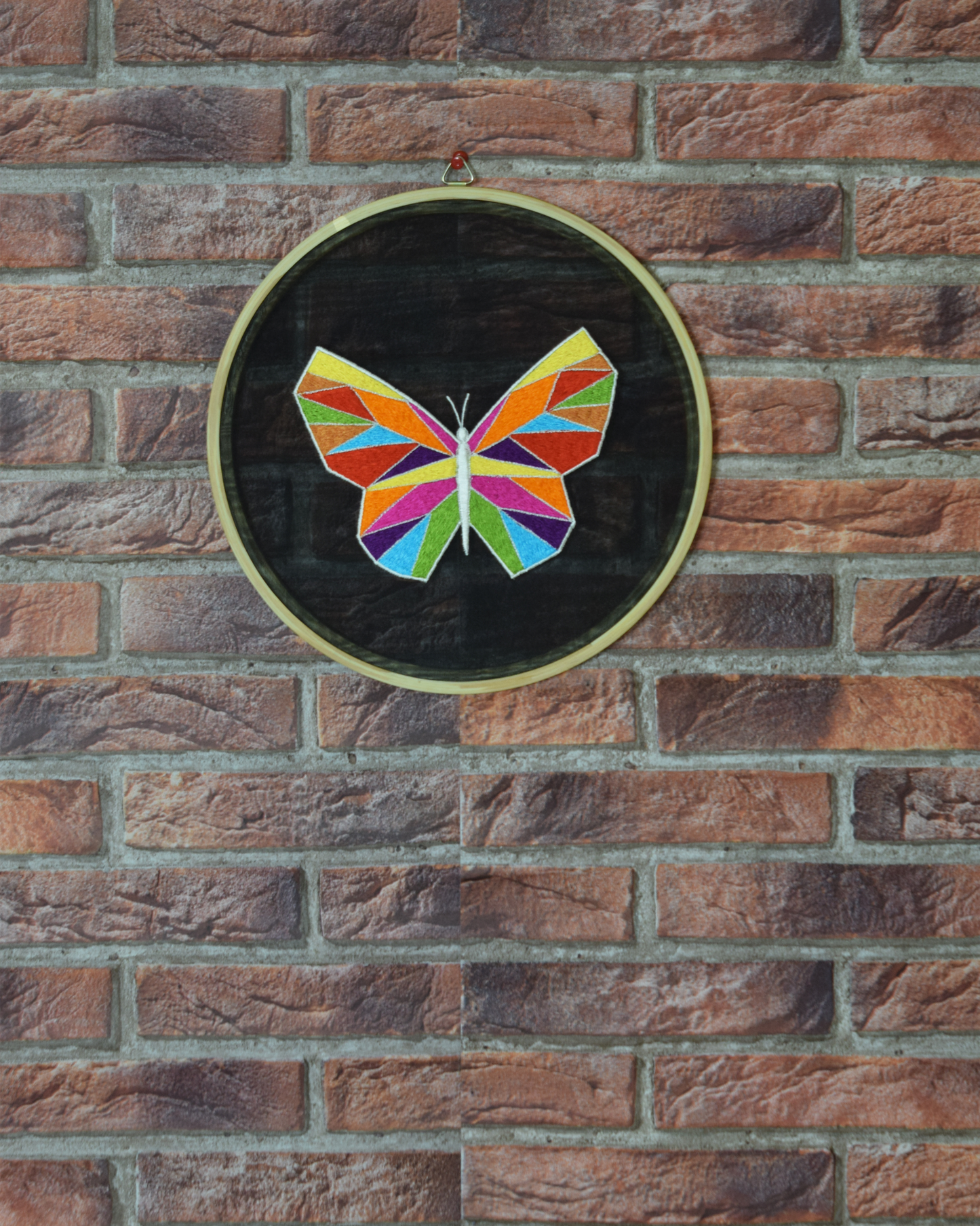 Multicolor Butterfly